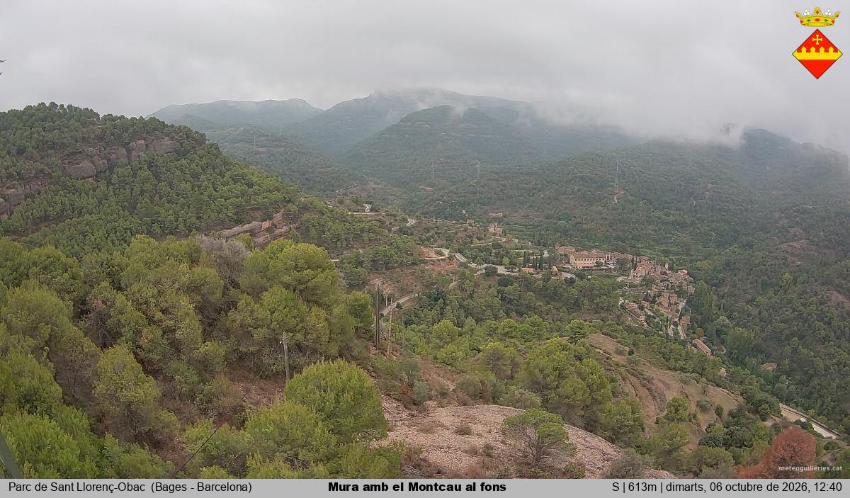 Mura amb el Montcau al fons