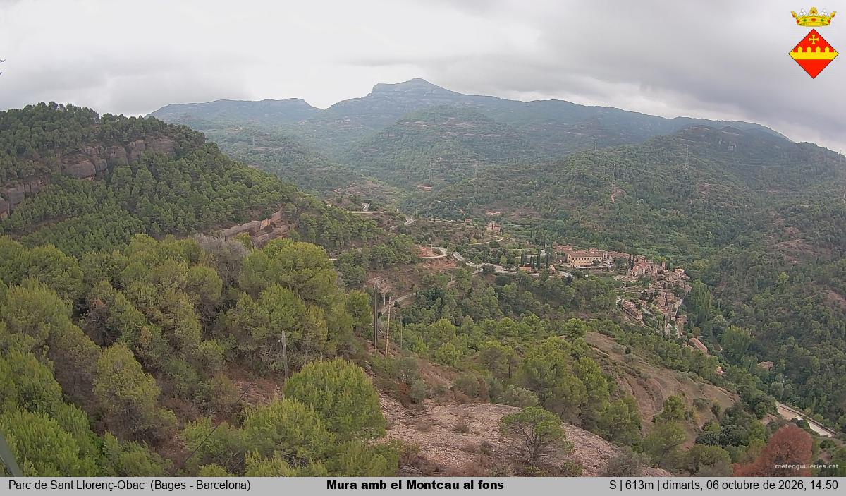 Mura amb el Montcau al fons