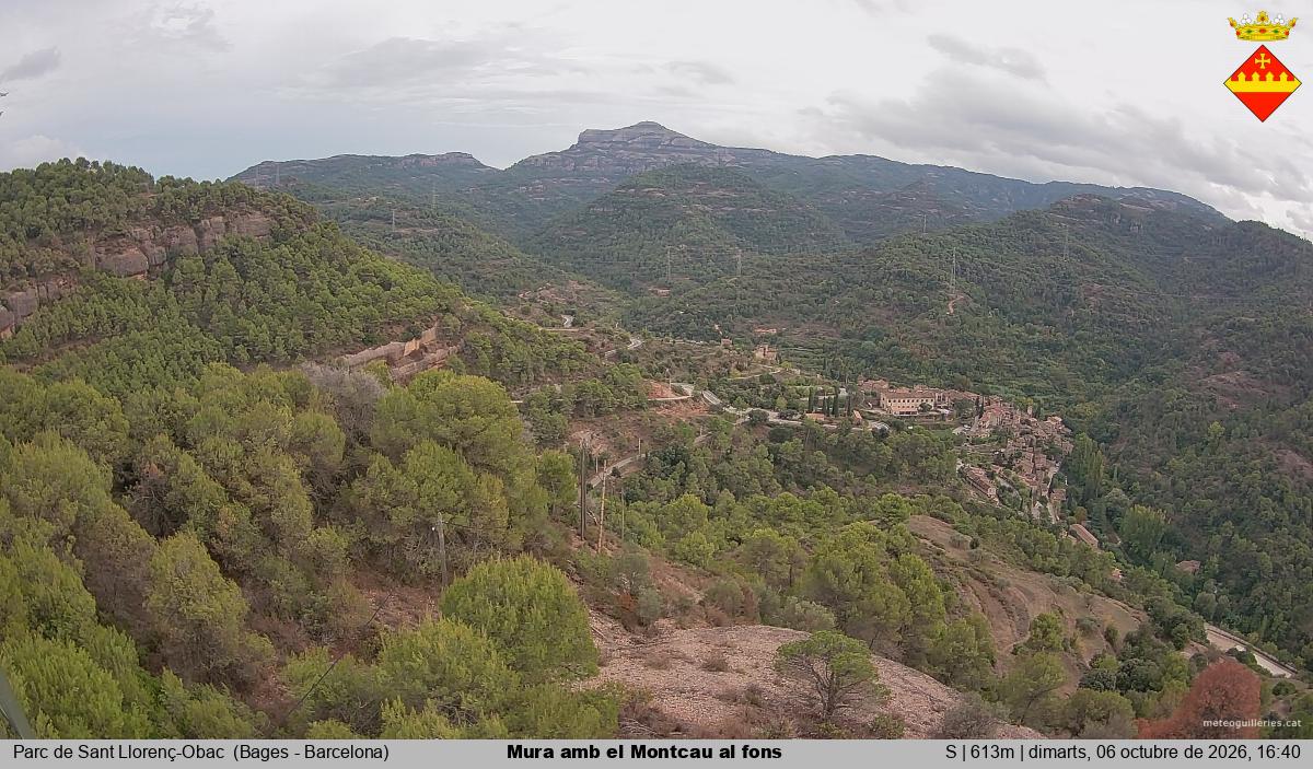Mura amb el Montcau al fons