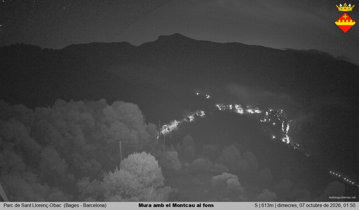 Mura amb el Montcau al fons