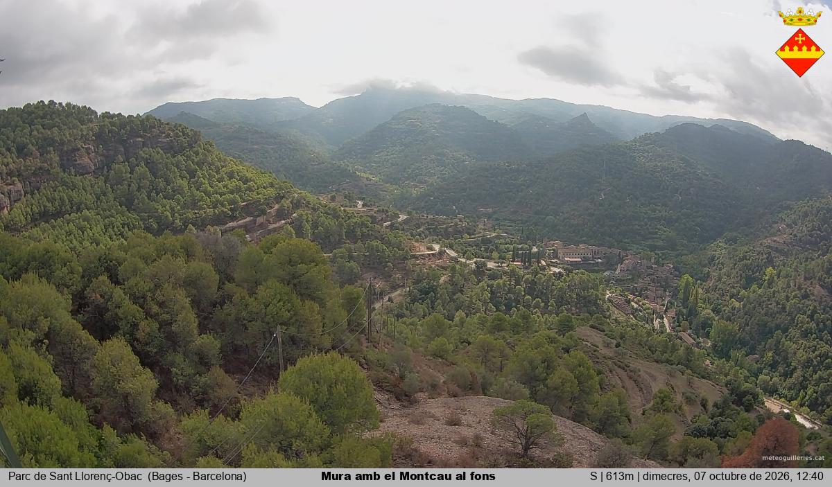 Mura amb el Montcau al fons