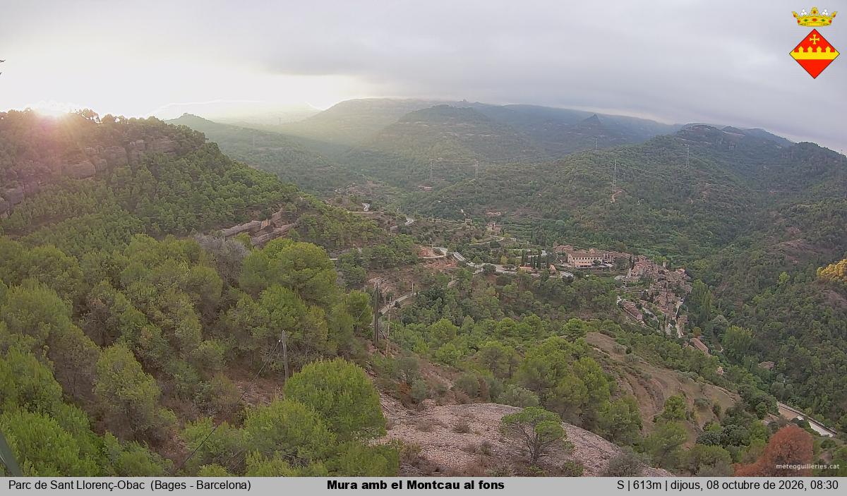 Mura amb el Montcau al fons