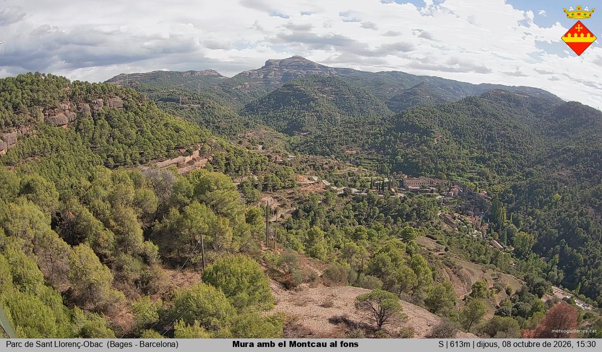 Mura amb el Montcau al fons