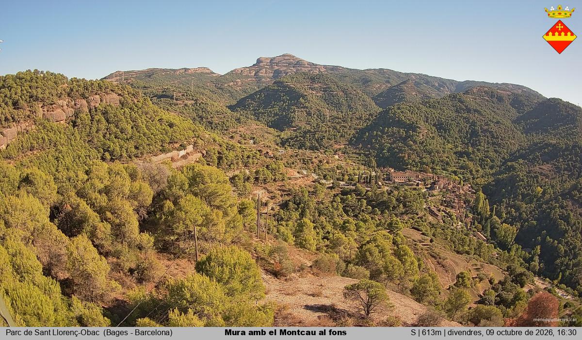 Mura amb el Montcau al fons
