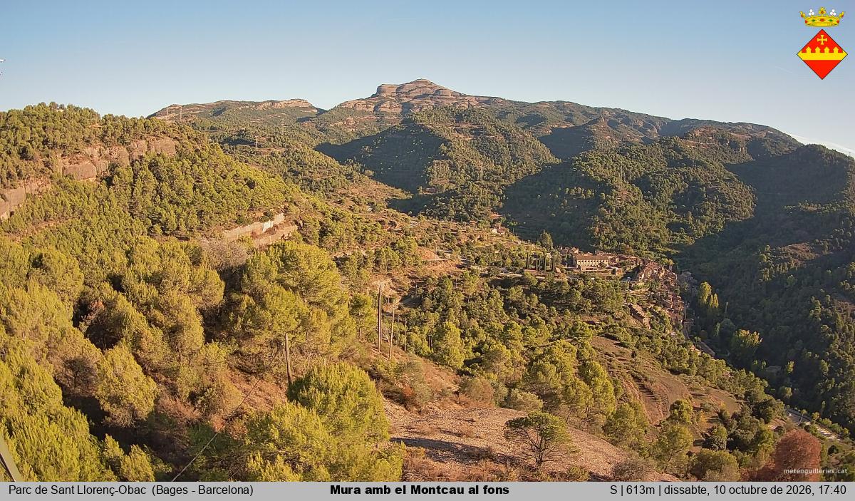 Mura amb el Montcau al fons