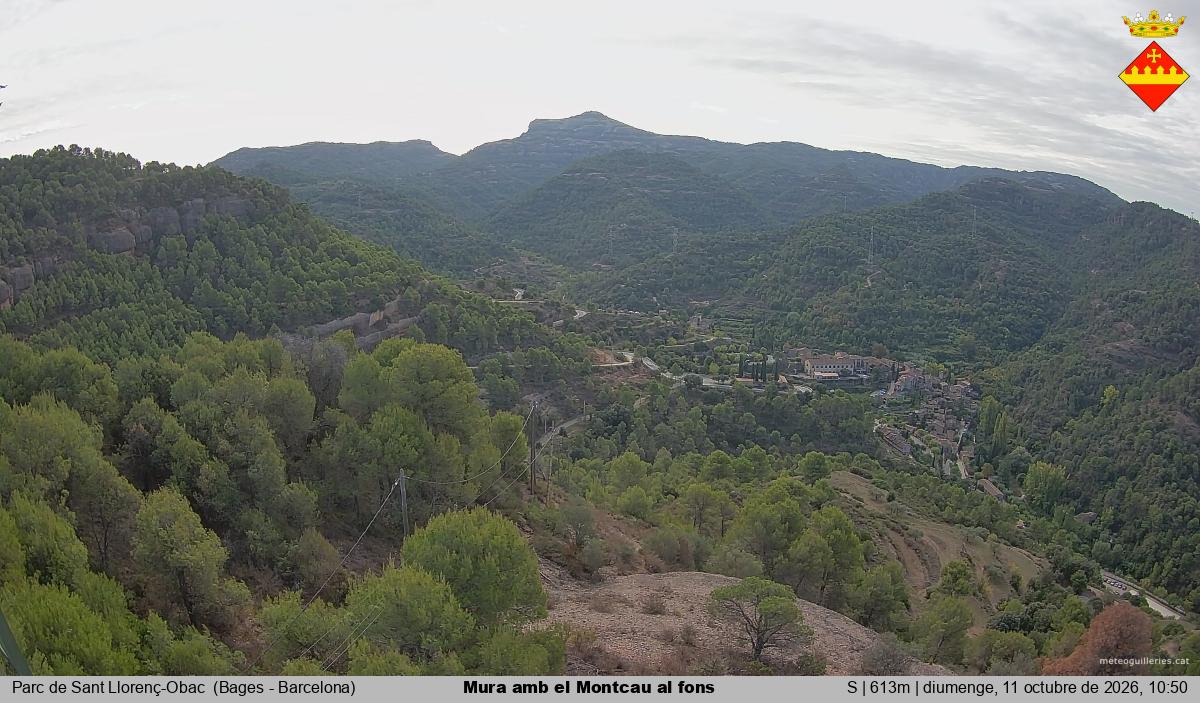 Mura amb el Montcau al fons