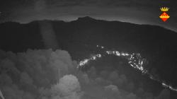 Webcams