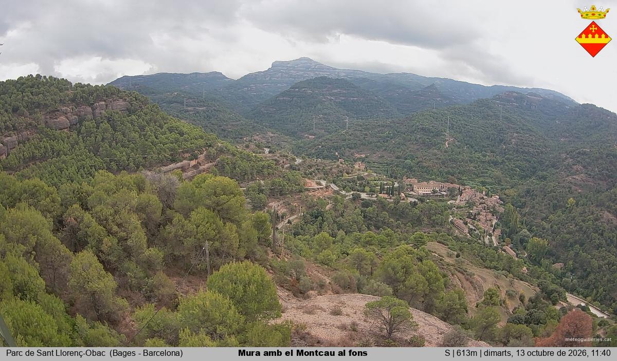 Mura amb el Montcau al fons