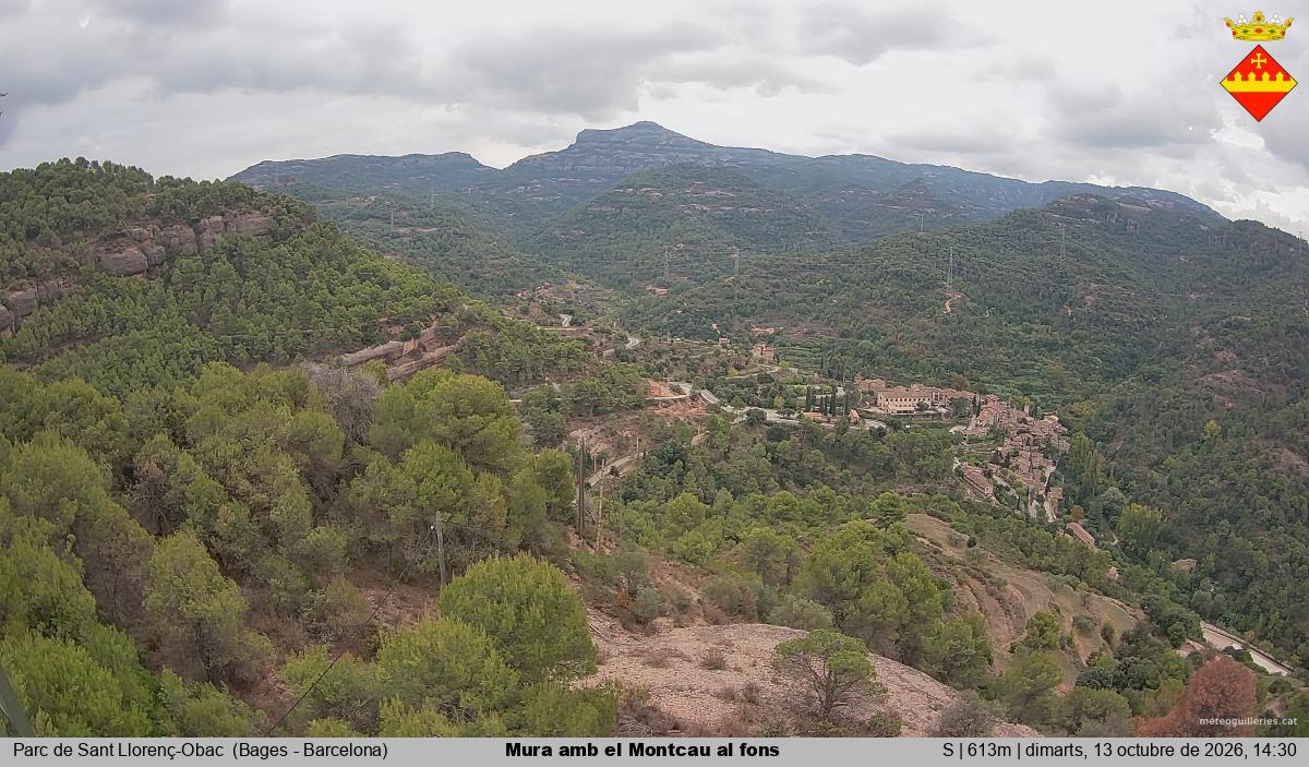Mura amb el Montcau al fons