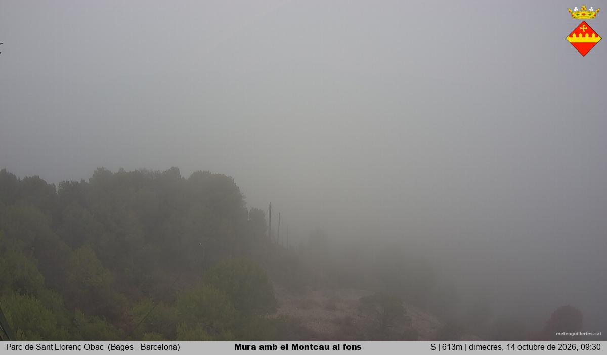 Mura amb el Montcau al fons