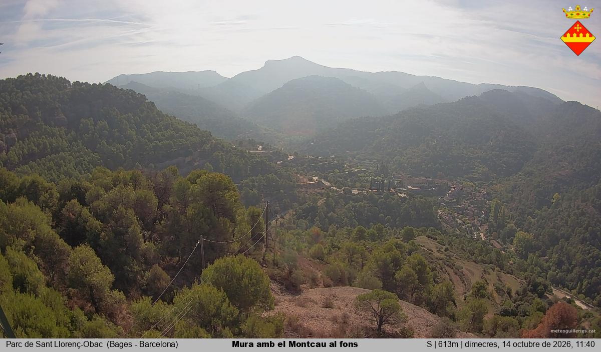 Mura amb el Montcau al fons
