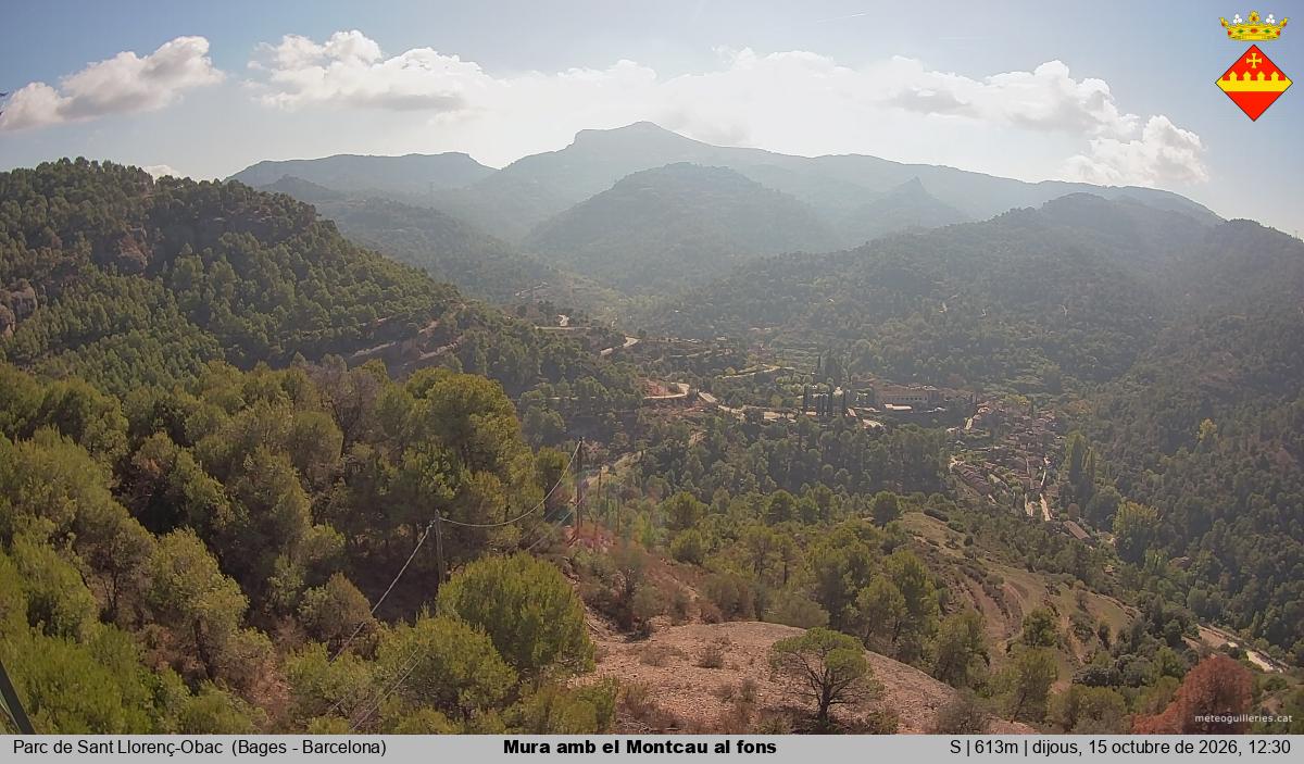 Mura amb el Montcau al fons