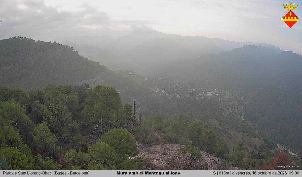 Mura amb el Montcau al fons