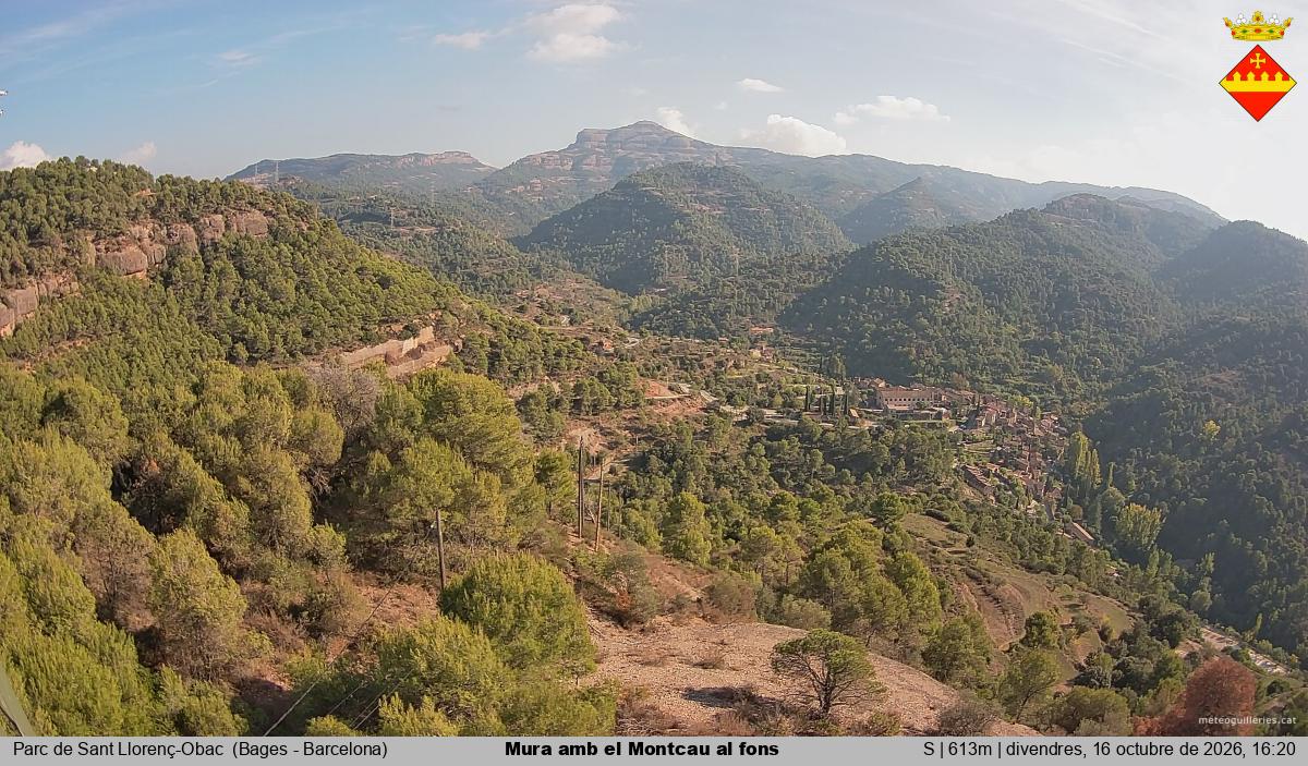 Mura amb el Montcau al fons