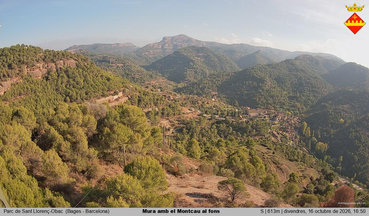 Mura amb el Montcau al fons