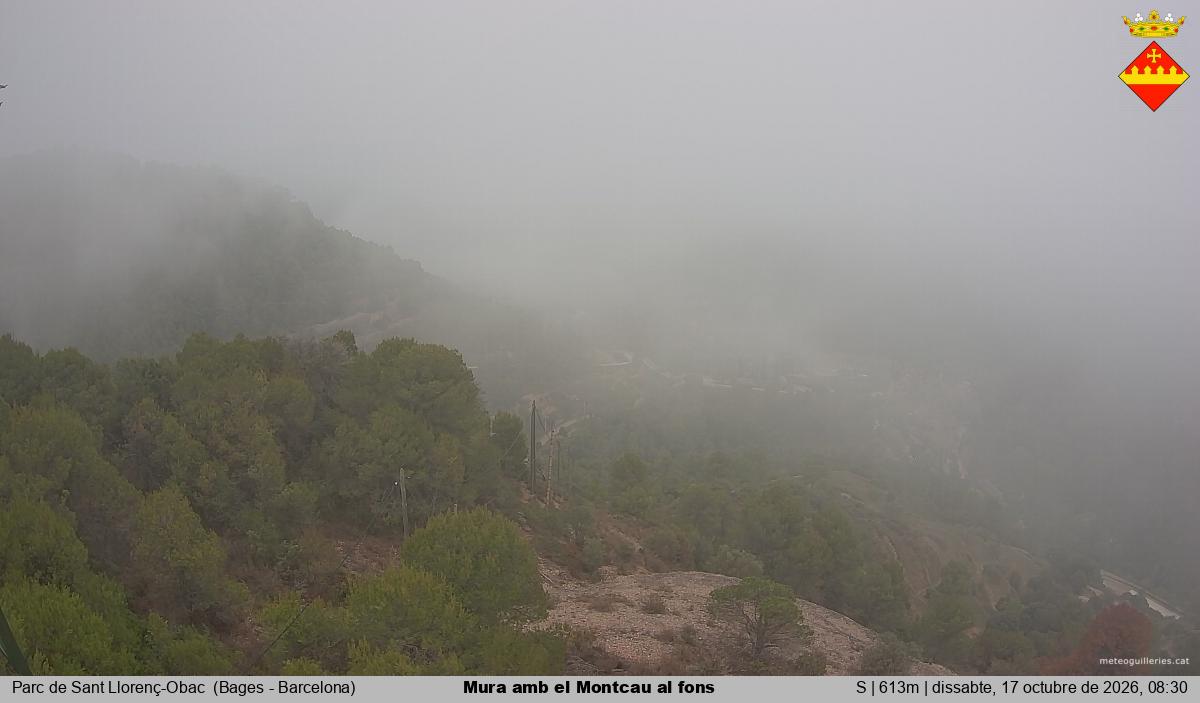 Mura amb el Montcau al fons