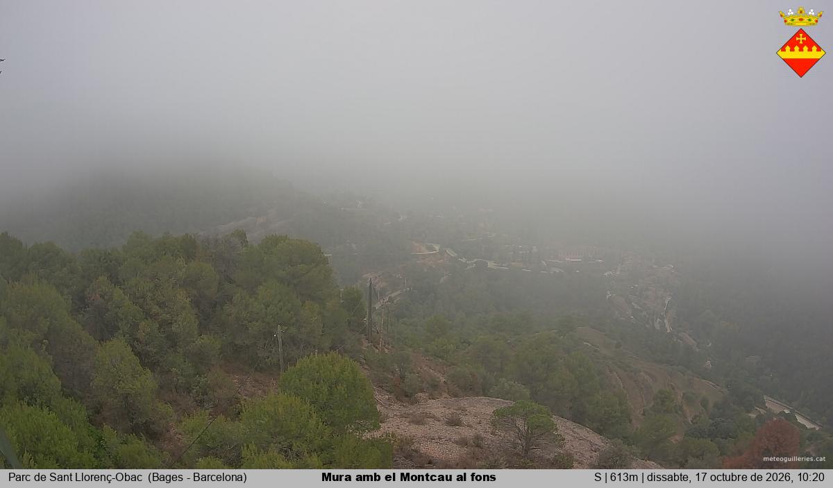 Mura amb el Montcau al fons