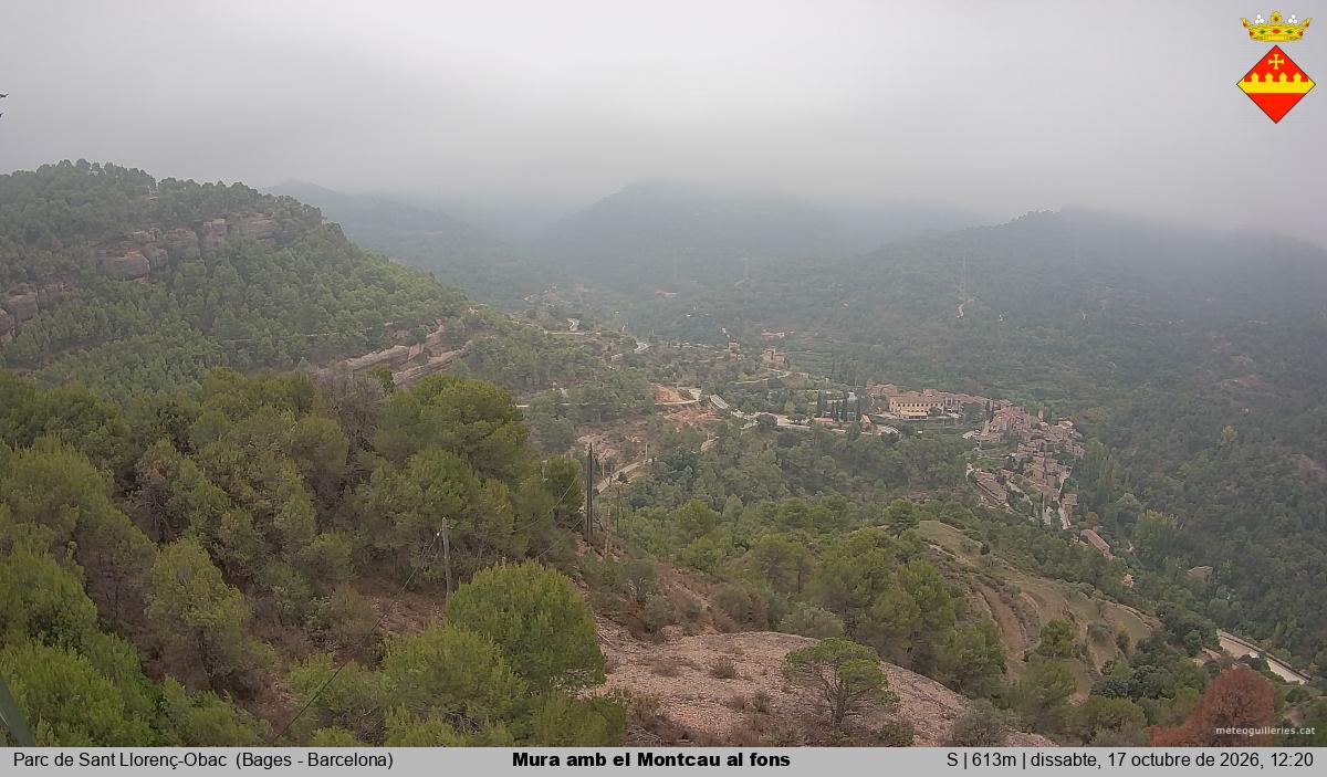 Mura amb el Montcau al fons