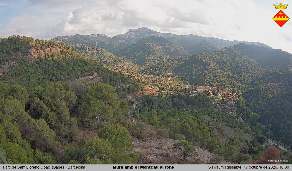 Mura amb el Montcau al fons