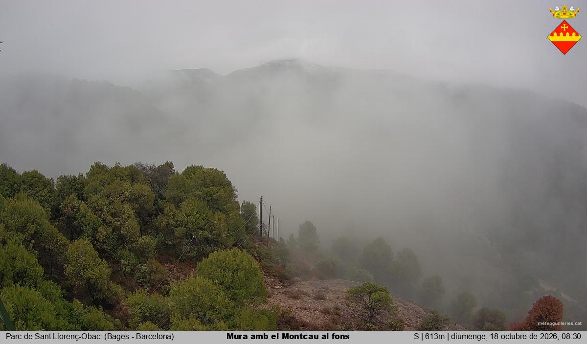 Mura amb el Montcau al fons