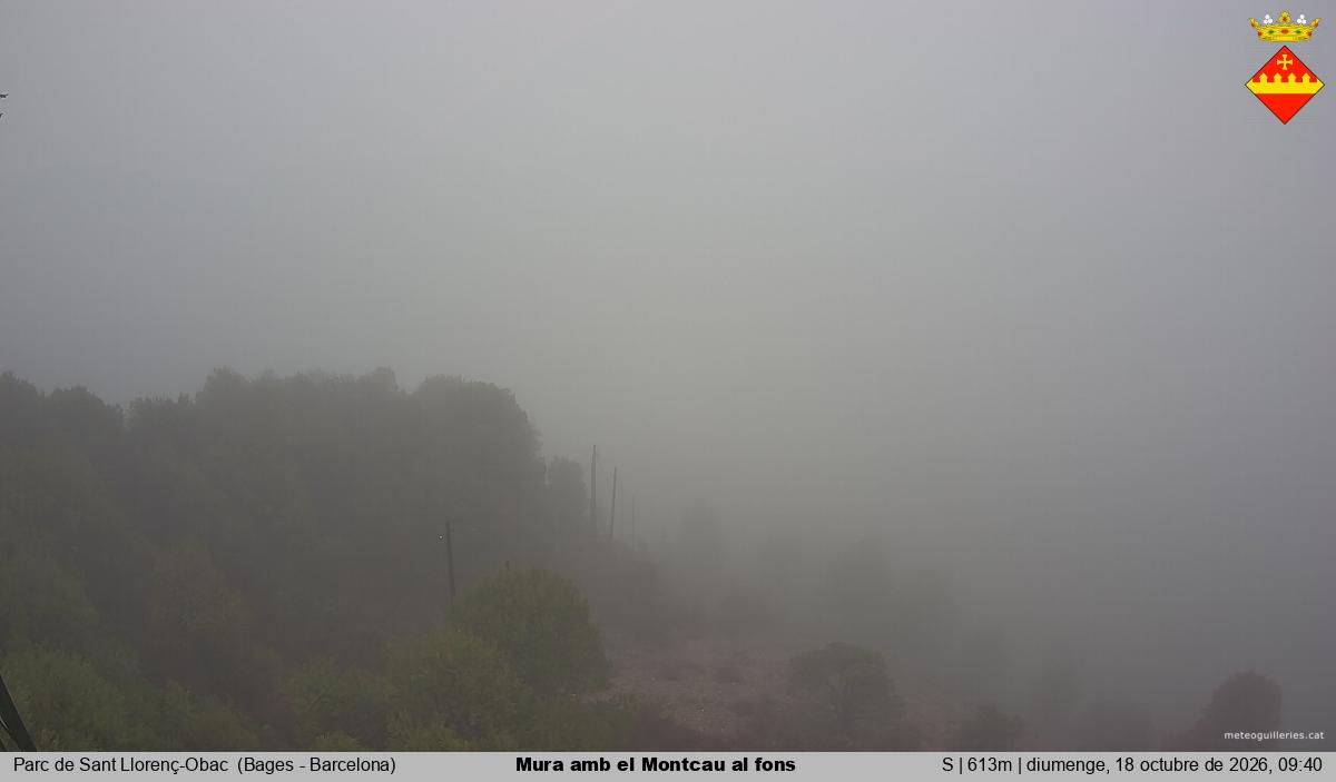 Mura amb el Montcau al fons