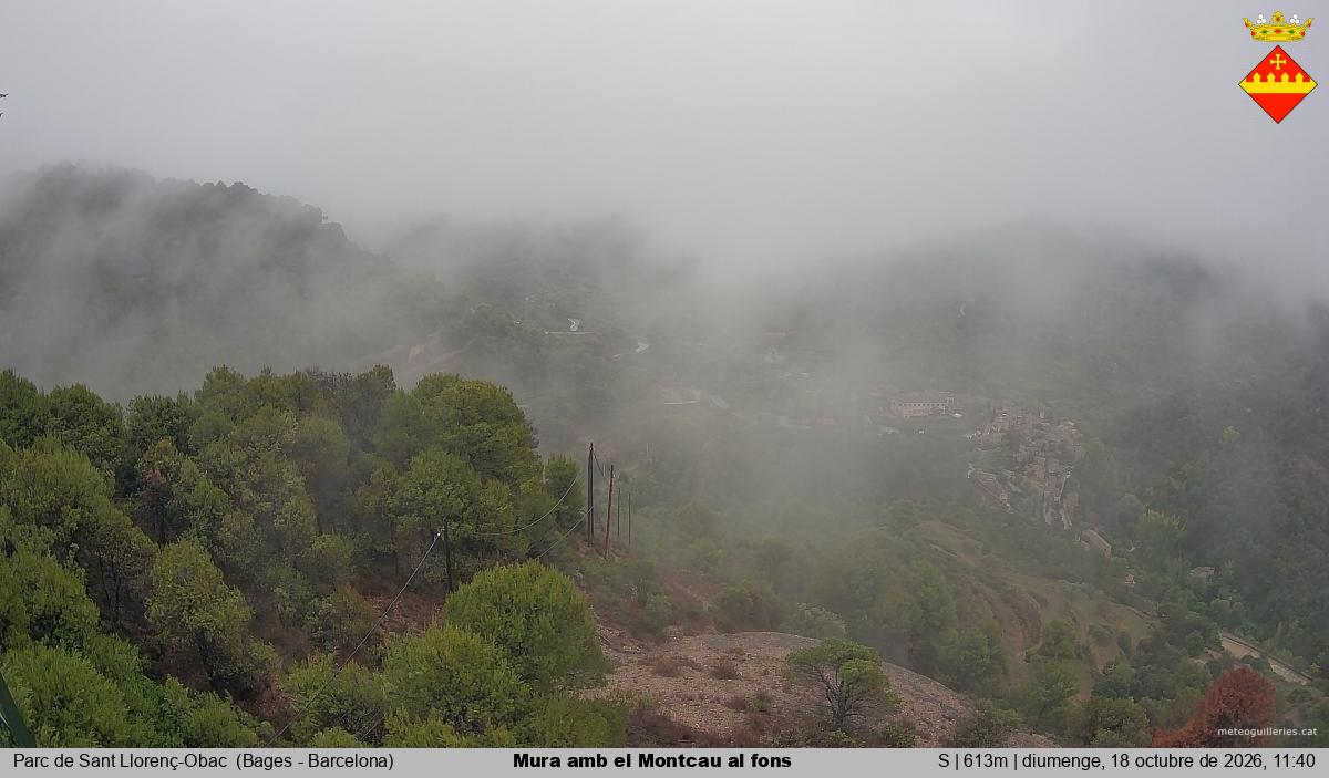 Mura amb el Montcau al fons