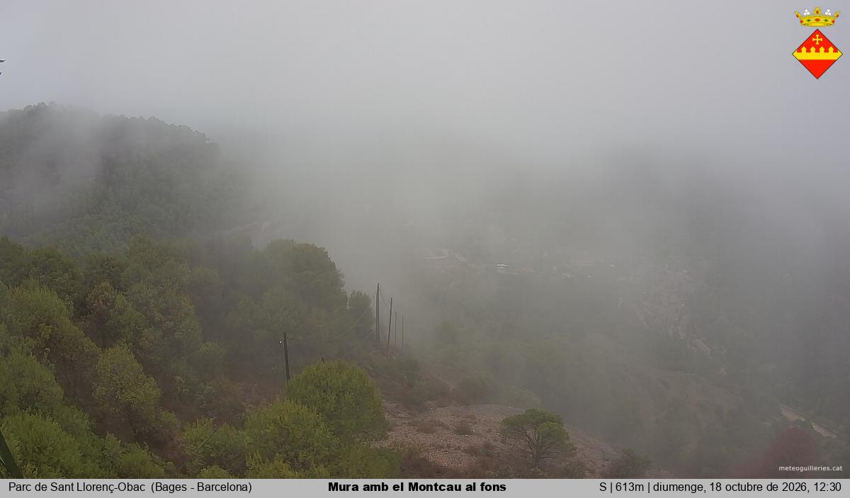 Mura amb el Montcau al fons