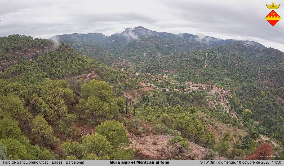 Mura amb el Montcau al fons