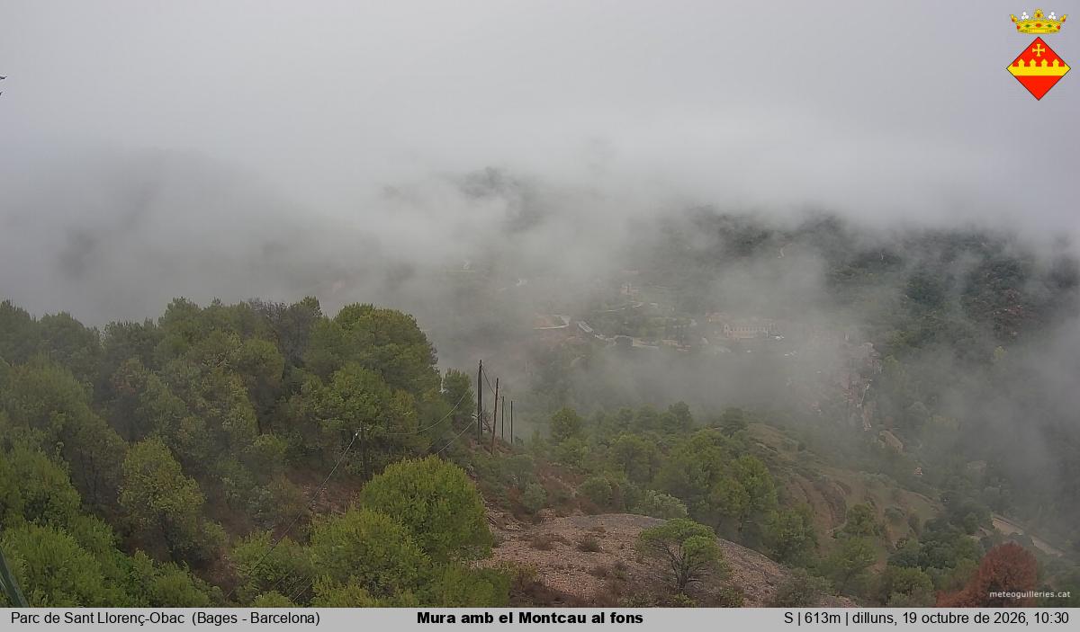 Mura amb el Montcau al fons