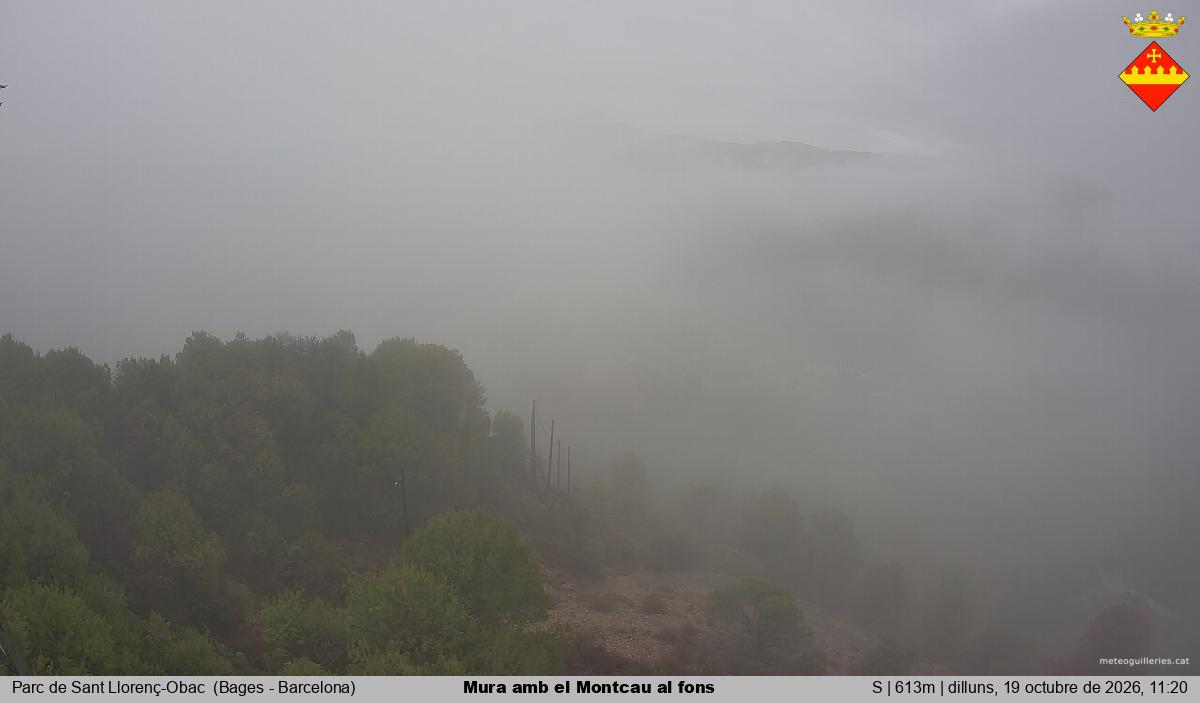 Mura amb el Montcau al fons