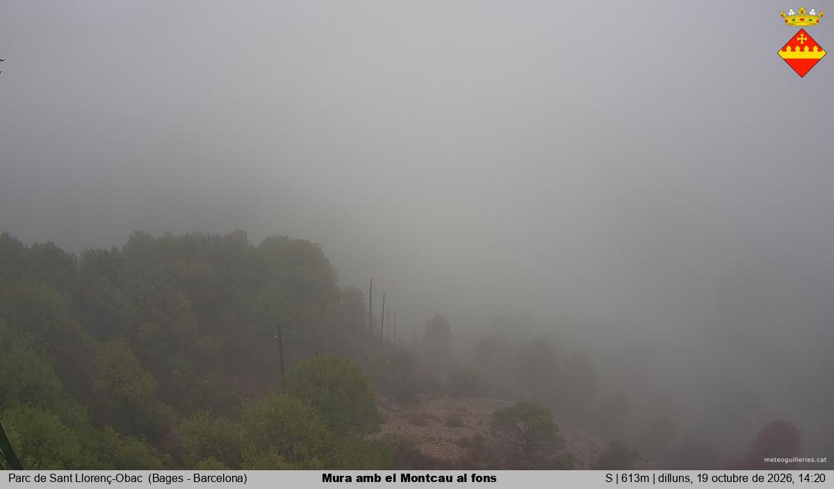 Mura amb el Montcau al fons