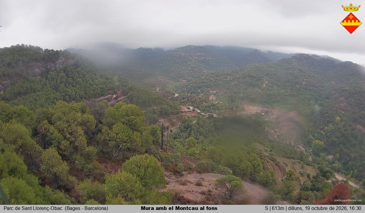 Mura amb el Montcau al fons