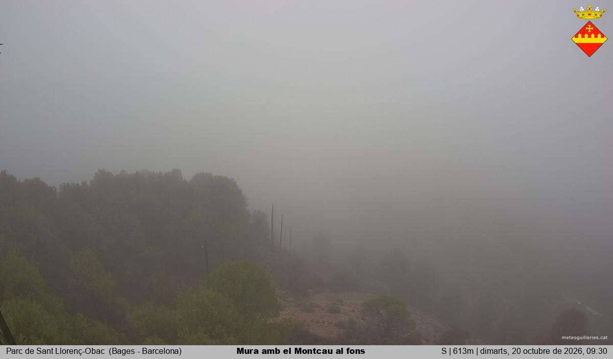 Mura amb el Montcau al fons