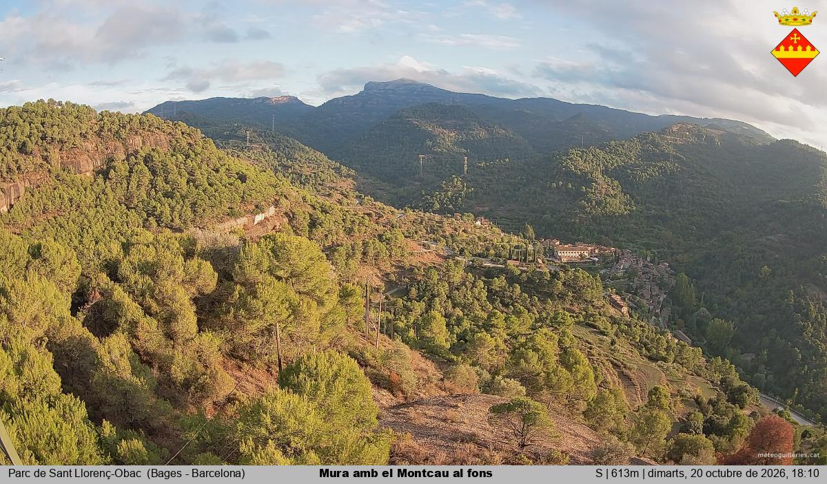 Mura amb el Montcau al fons