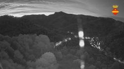 Webcams