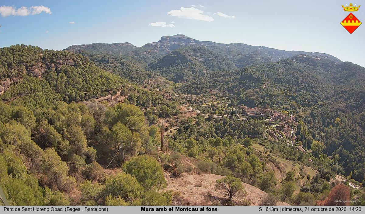 Mura amb el Montcau al fons