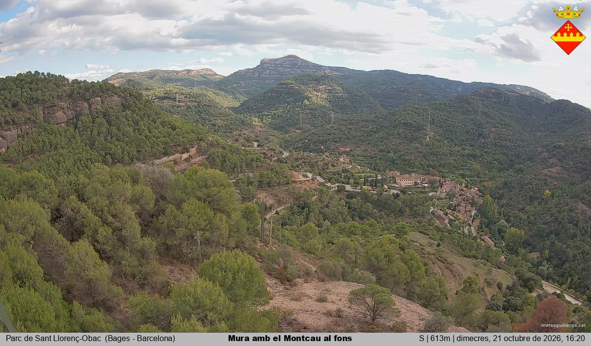 Mura amb el Montcau al fons