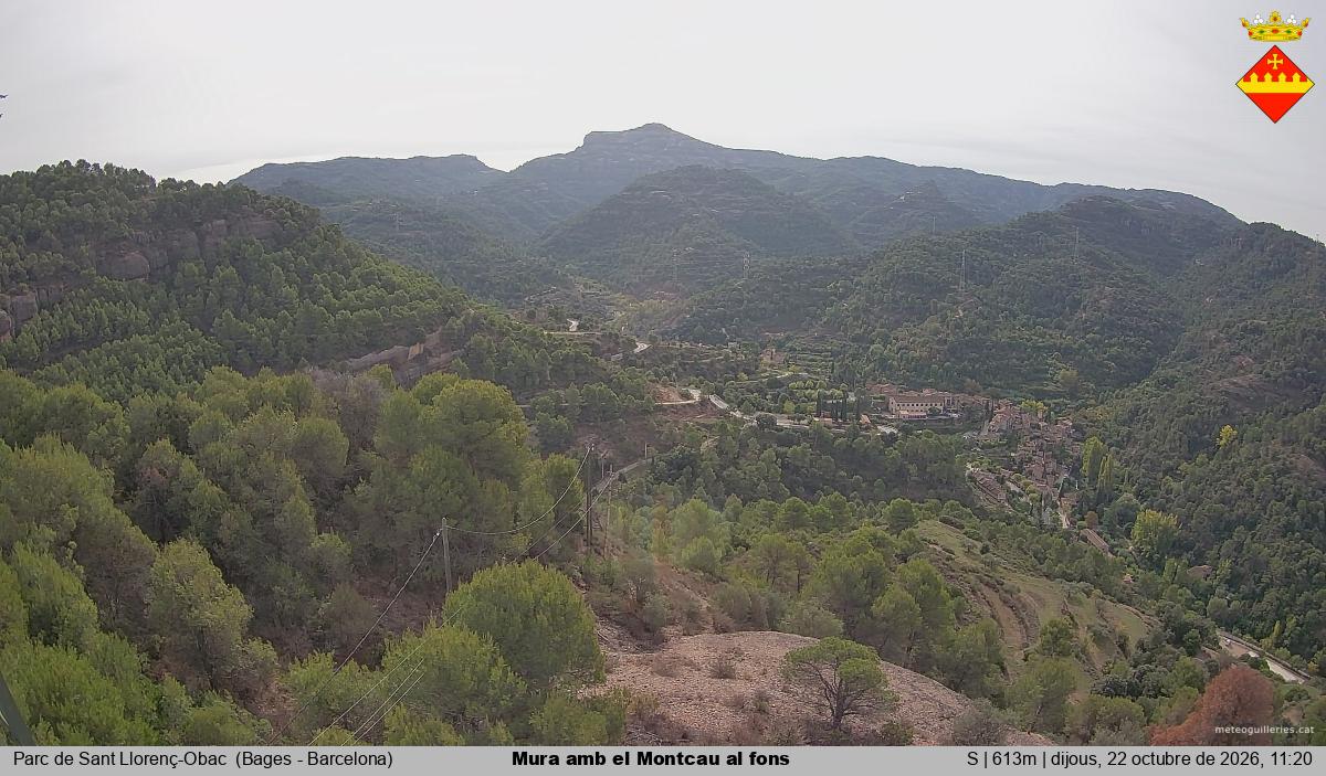 Mura amb el Montcau al fons