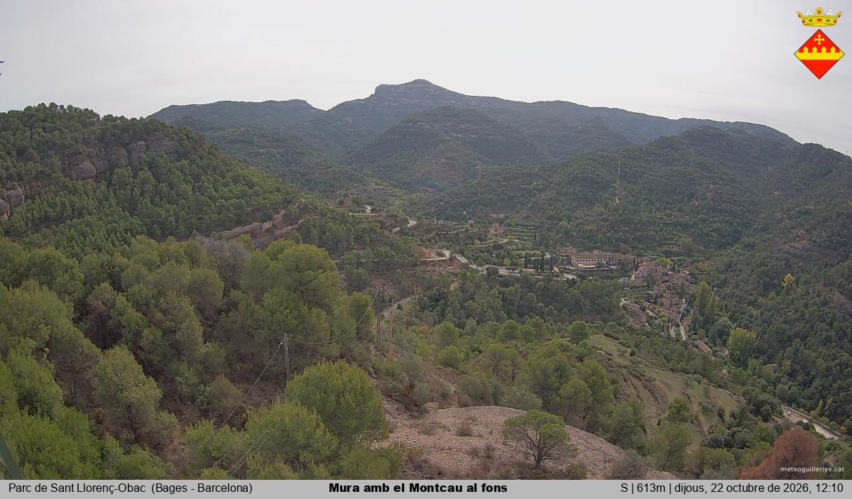 Mura amb el Montcau al fons