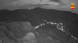 Webcams
