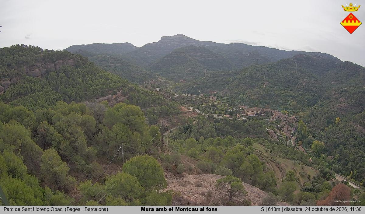 Mura amb el Montcau al fons