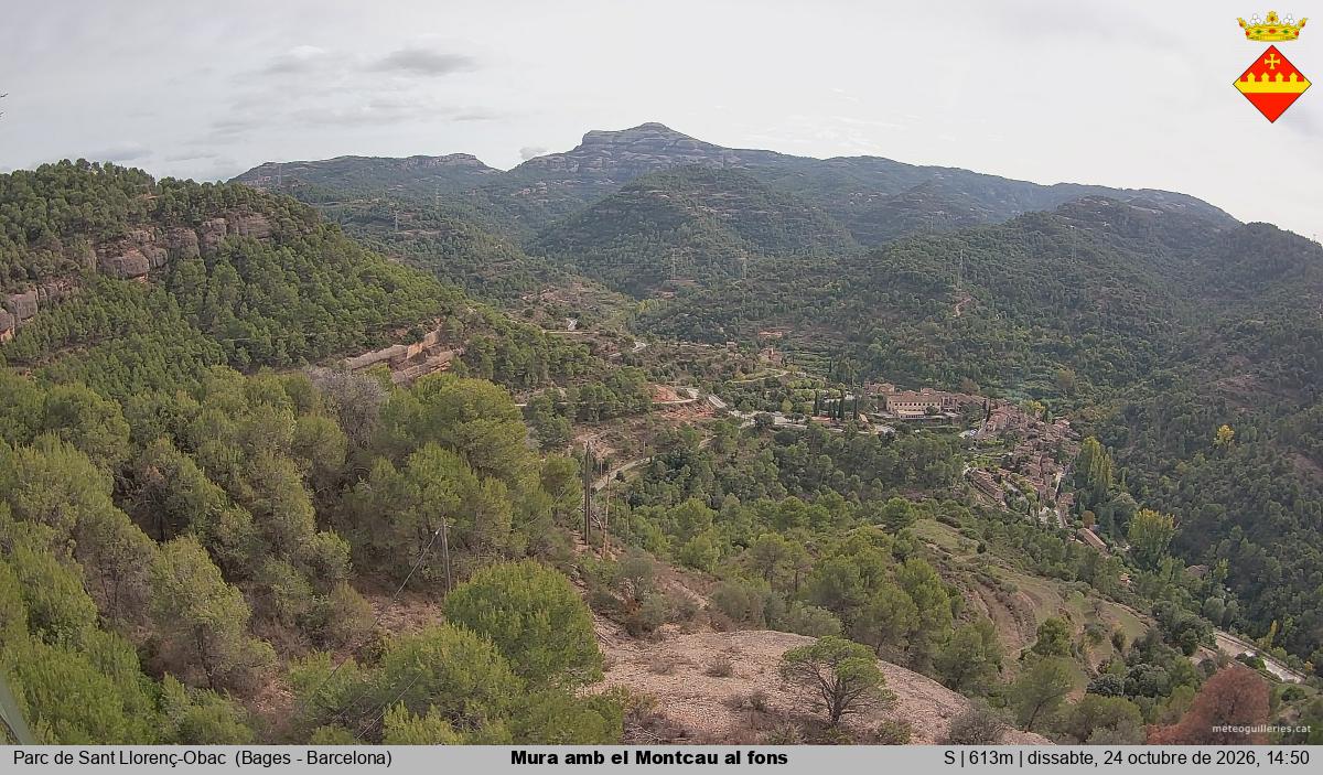 Mura amb el Montcau al fons