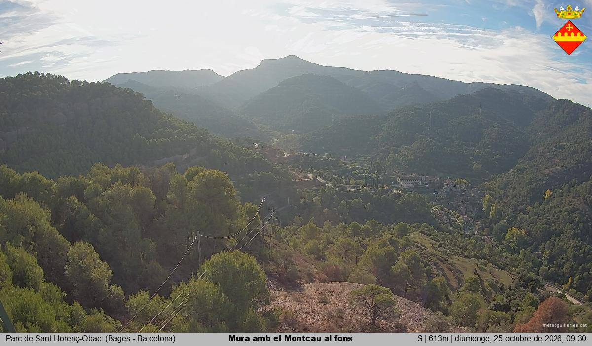 Mura amb el Montcau al fons