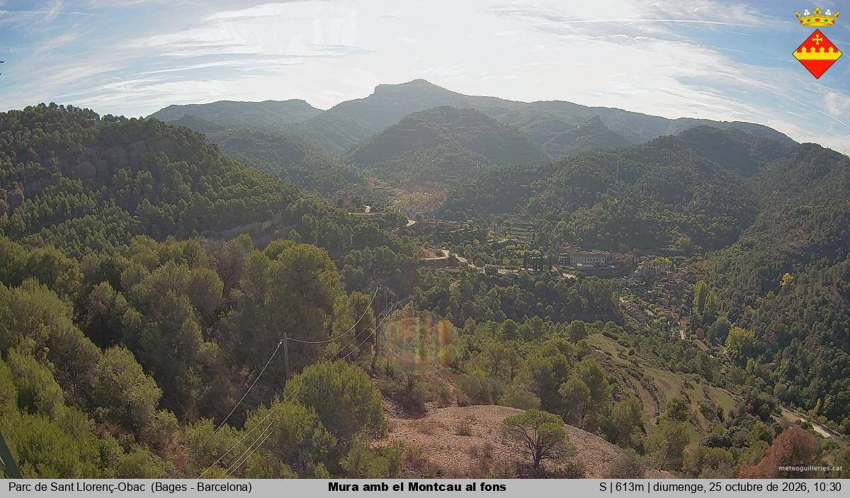 Mura amb el Montcau al fons