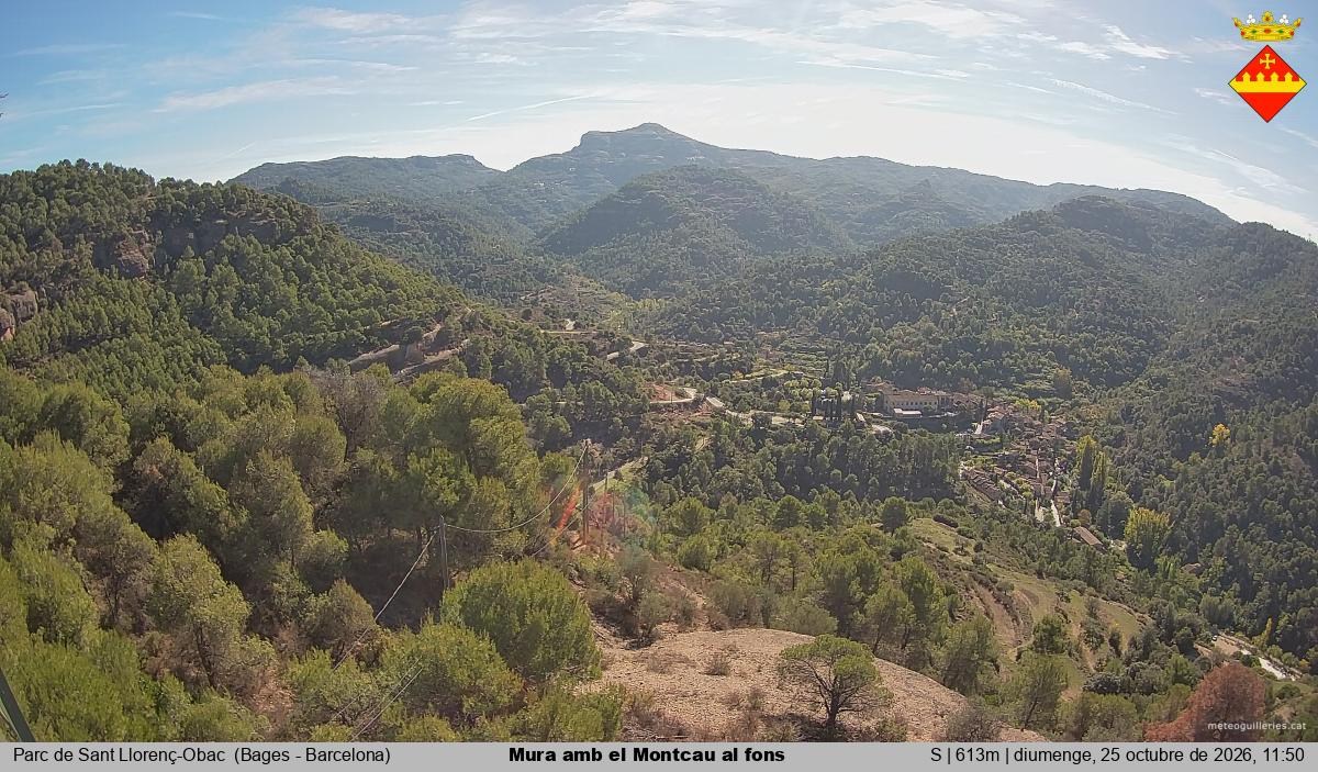 Mura amb el Montcau al fons