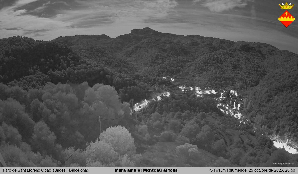 Mura amb el Montcau al fons