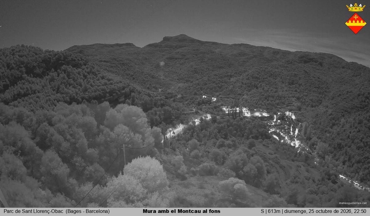 Mura amb el Montcau al fons