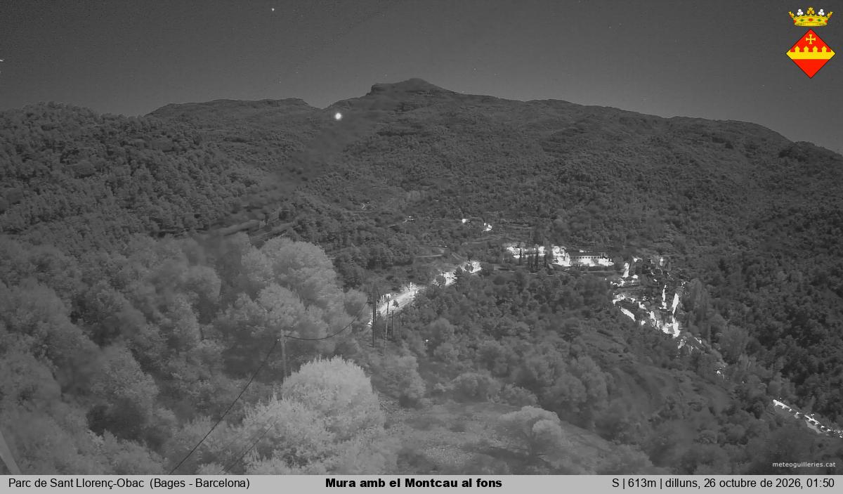 Mura amb el Montcau al fons