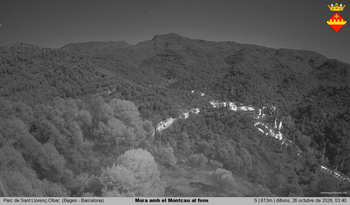Mura amb el Montcau al fons