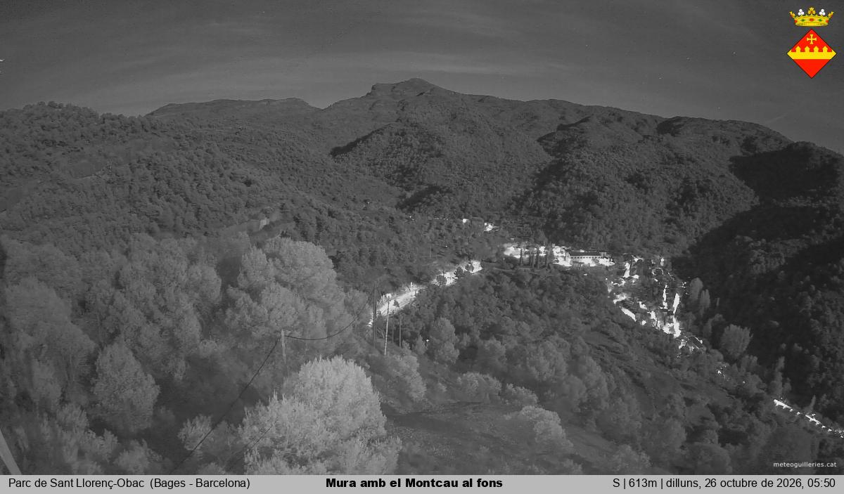 Mura amb el Montcau al fons